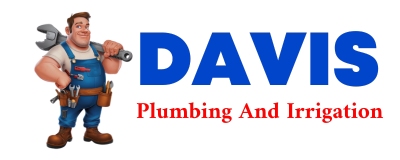 Trusted plumber in OSAKIS